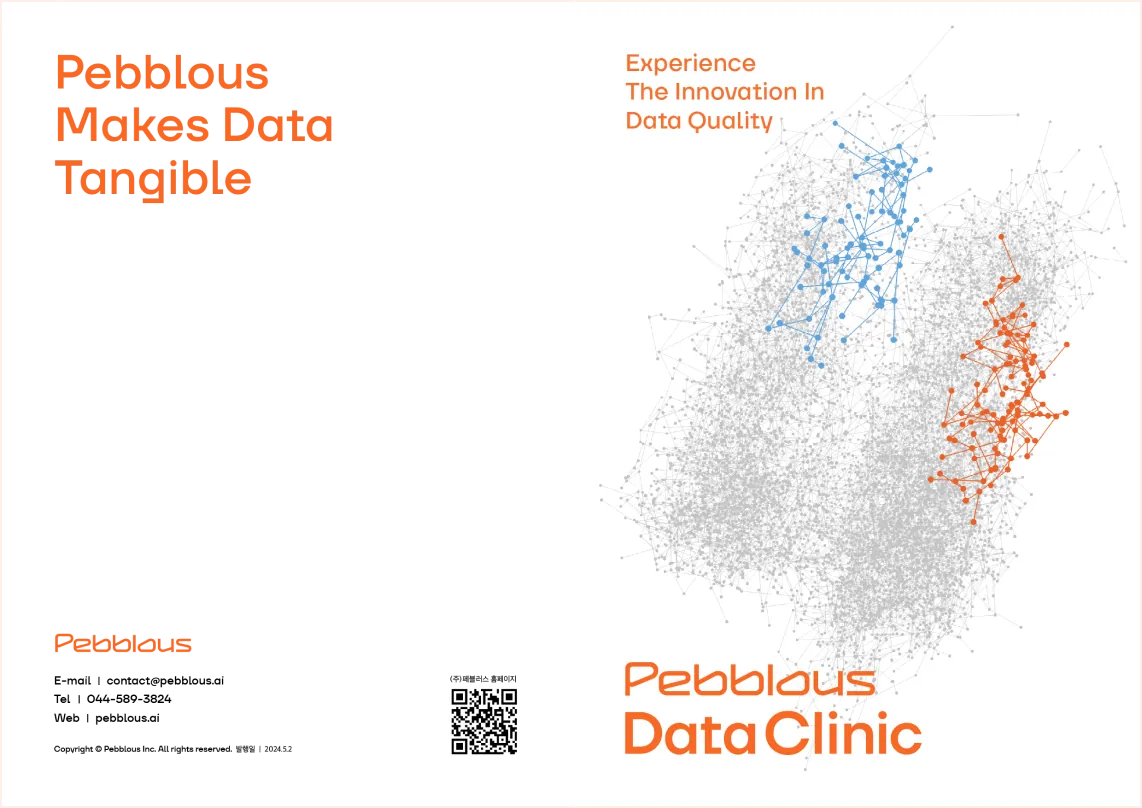 네트워크 그래프와 Pebblous Data Clinic 문구가 담긴 데이터 클리닉 브로셔